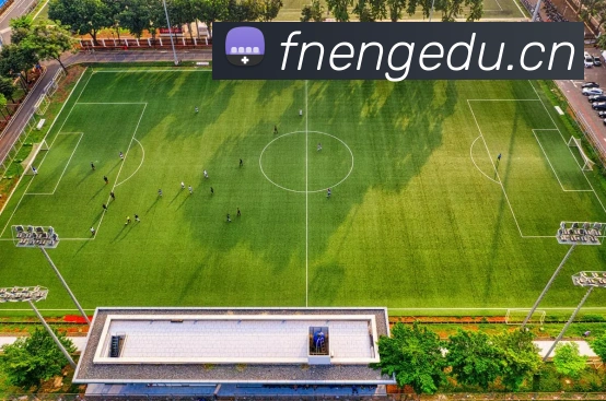 开云手机在线登录官网平台生态图